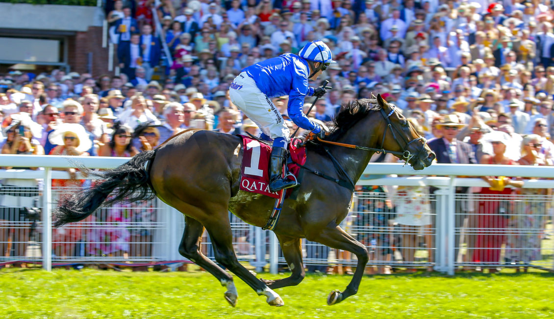 Glorious Goodwood Hospitality 2024 Trophy Events