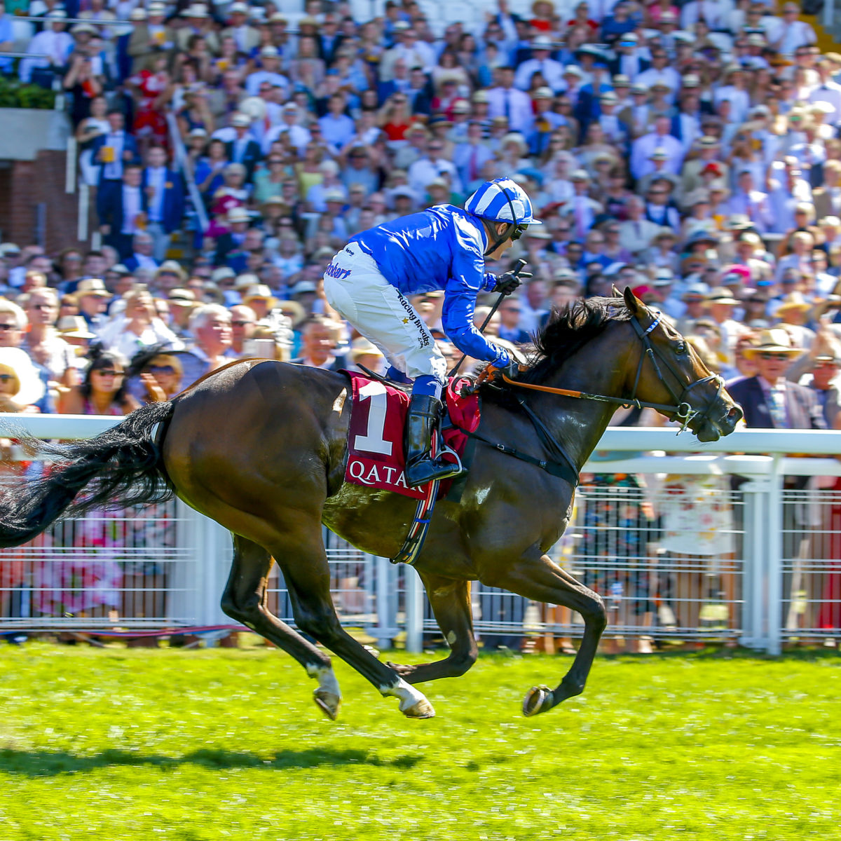 Glorious Goodwood Hospitality 2024 - Trophy Events